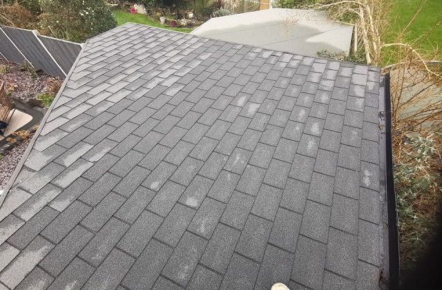 Shed roof